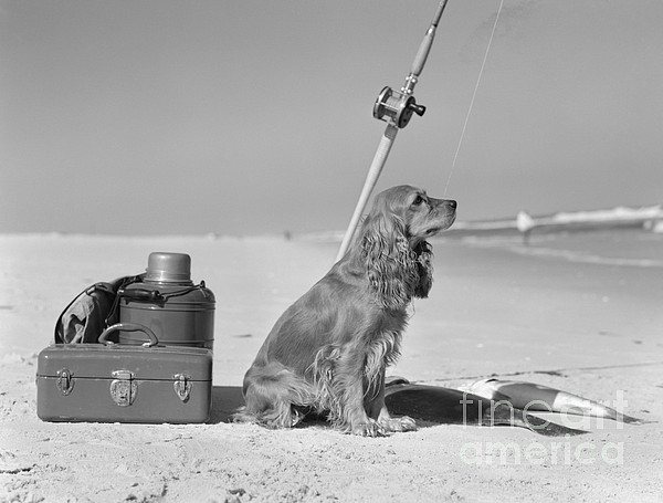 Dog With Fishing Equipment And Catch Yoga Mat by H Armstrong Roberts and  ClassicStock - Science Source Prints - Website