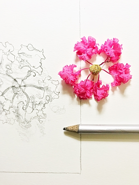 awesome flower designs to draw