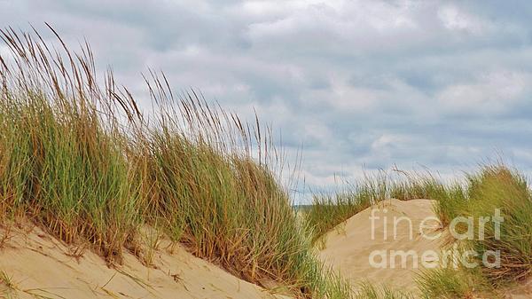 Rory Cubel - Dunes,Grasses,and Clouds      Lake Michigan Shoreline     Indiana