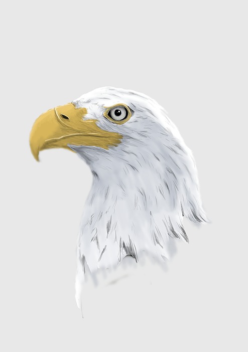 Eagle Digital Art