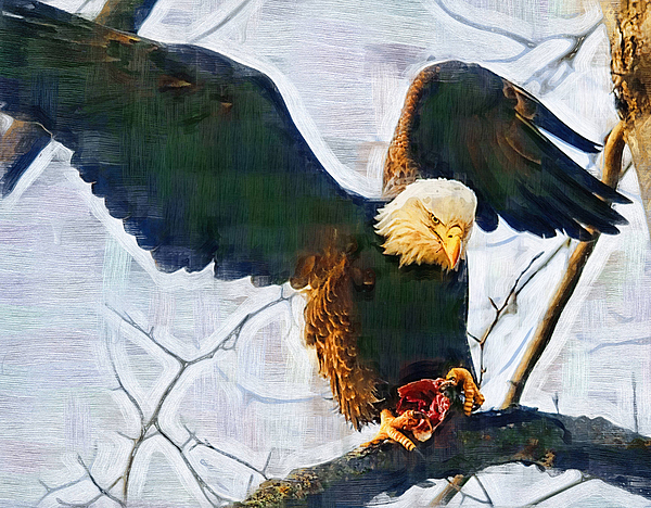 Clarence Alford - Eagle on a Tree with Dinner