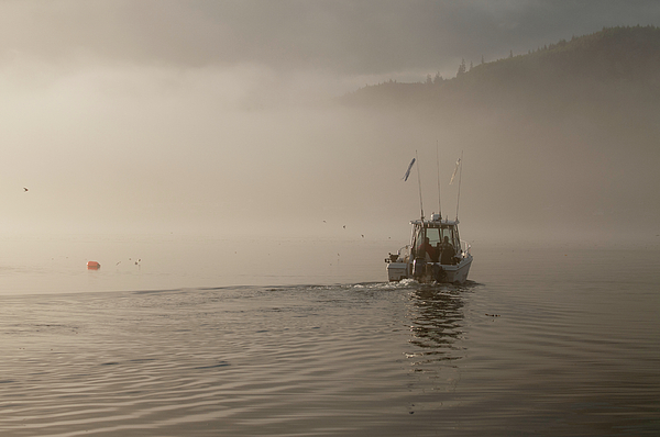 Chad Davis - Early Morning Fishing Boat