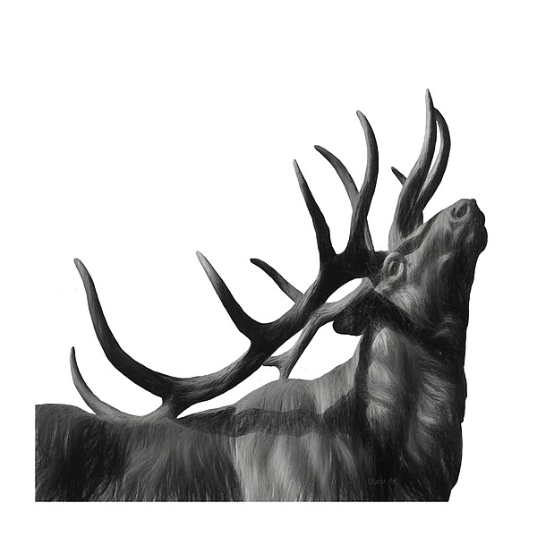 Elk In Black In White Painting