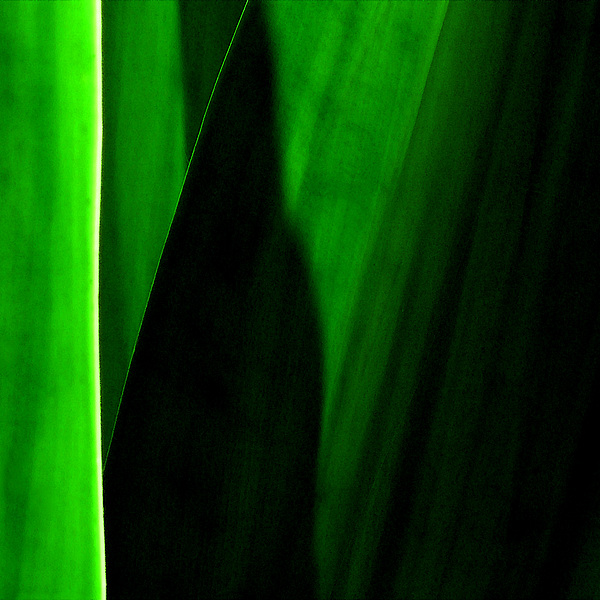 Abstract Art