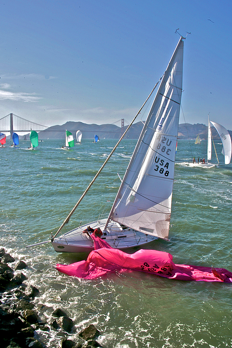 Americas Cup Poster by Steven Lapkin - Pixels Merch