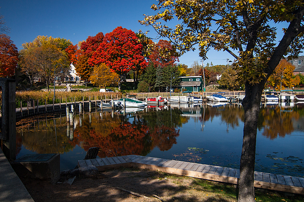 Fall Color Art