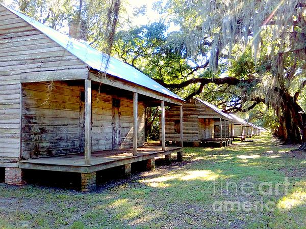 Evergreen Sugar Cane Plantation Slave Cabin Quarters In Wallace