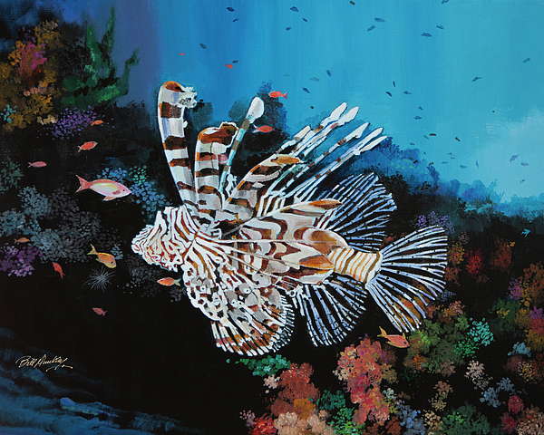 Bill Dunkley - Exotic Lionfish
