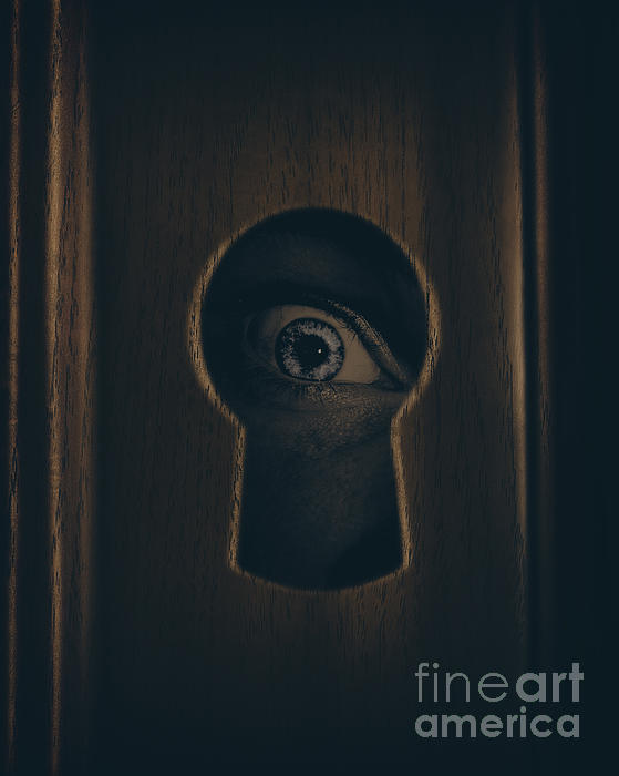 DOORS - Seek Eye hide and Seek horror eyes | Spiral Notebook