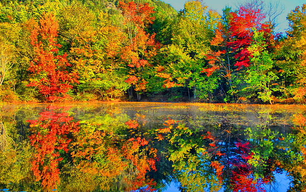 fall-reflected-emily-j-photography.jpg