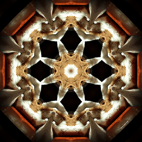 Abstract Digital+art