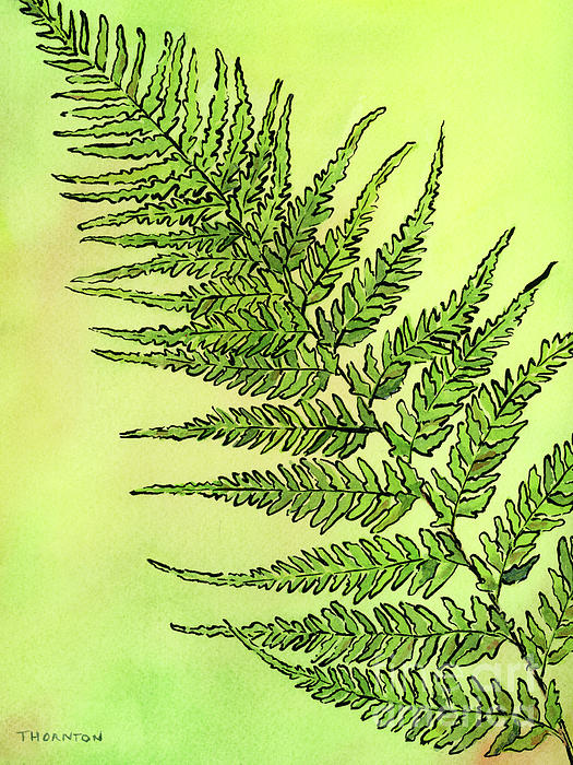 Tropic Art