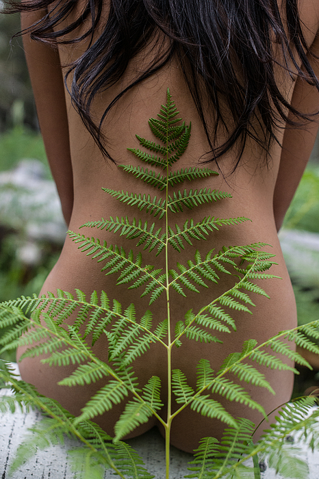 Fern And Woman Photograph
