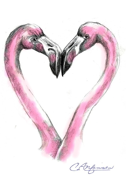 Flamingoes In Love2 Drawing
