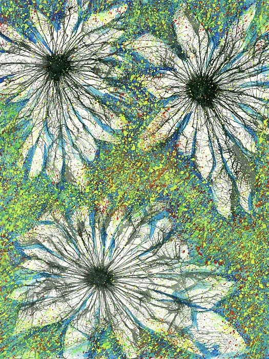 Nature Art