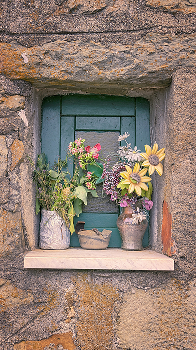 Joan Carroll - Flowers in Lemmen Cinque Terre Italy