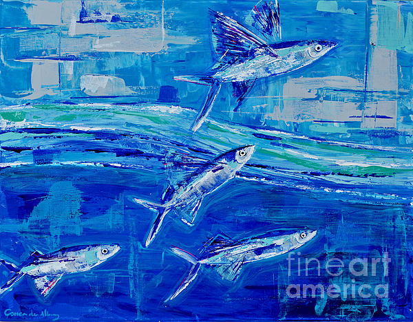 Flying Fish iPhone Case by Correa De Albury - Correa De Albury - Artist  Website