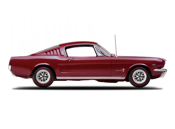  Mono Ford Mustang Fastback de Mark Rogan