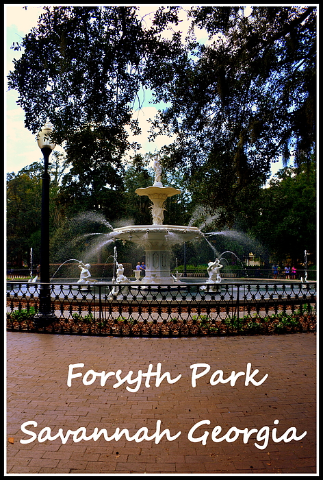 Lisa Wooten - Forsyth Park Savannah Georgia