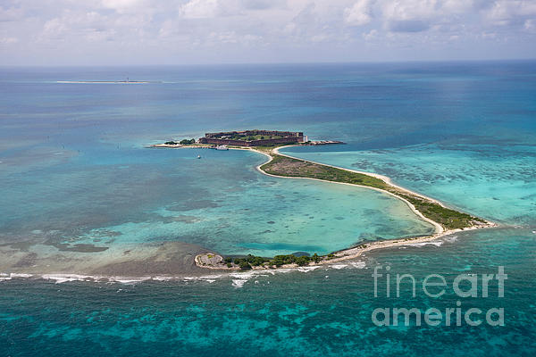 dry tortugas shirt