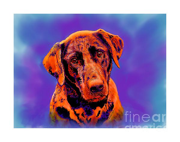 Fox Red Labrador Painting IIi Digital Art