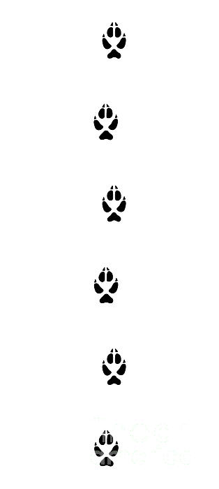 Wolf Tracks Black Footprints Yoga Mat