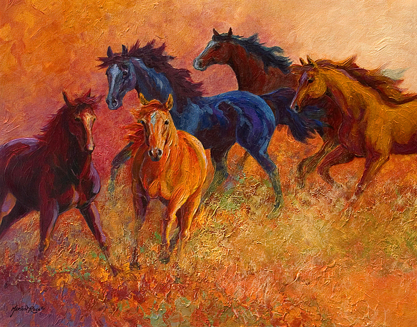 Marion Rose - Free Range - Wild Horses