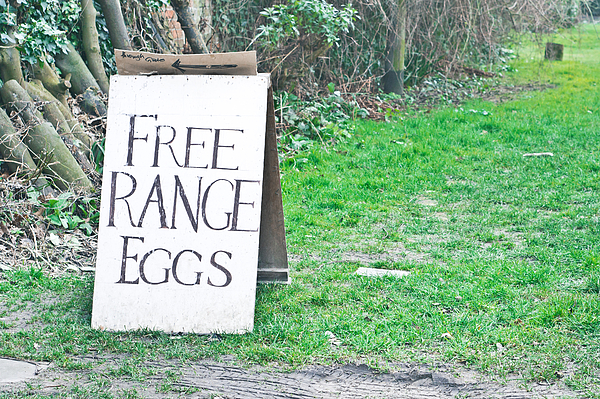 Frying eggs Tote Bag by Tom Gowanlock - Pixels