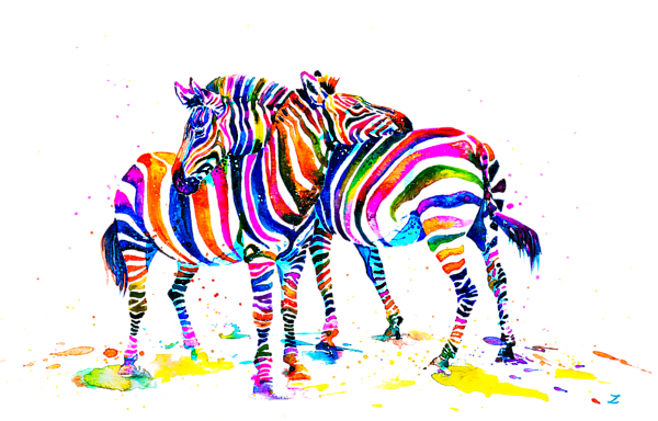 Rainbow Zebras print by Zaira Dzhaubaeva