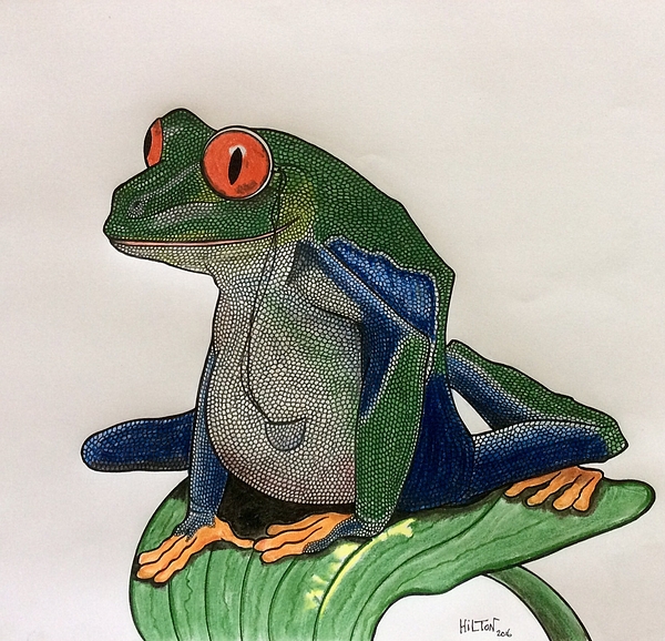 Graham Wallwork - Frog with Monocle 