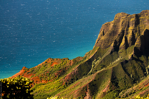 From The Hills Of Kauai Photograph