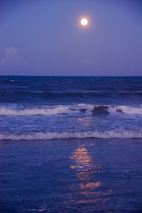Full Moon Over The Ocean Greeting Card For Sale By Susanne Van Hulst