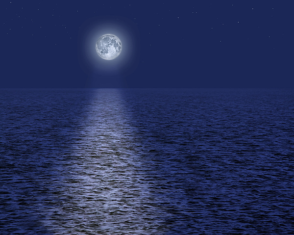 Full Moon Over Sea Details about   Blank Greeting Card 
