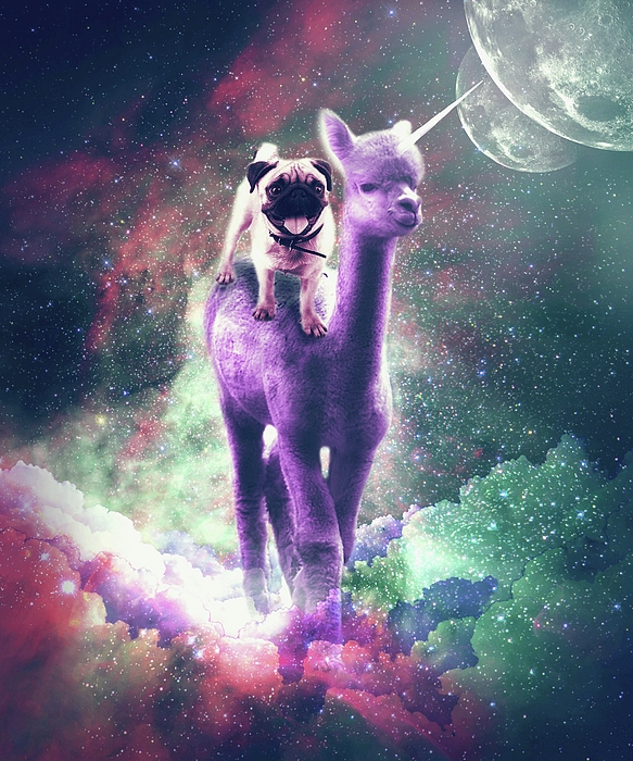 Space Cat Llama Pug Riding Nachos Yoga Mat