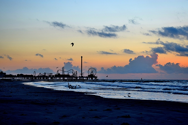 Galveston 20x20 Throw Pillow