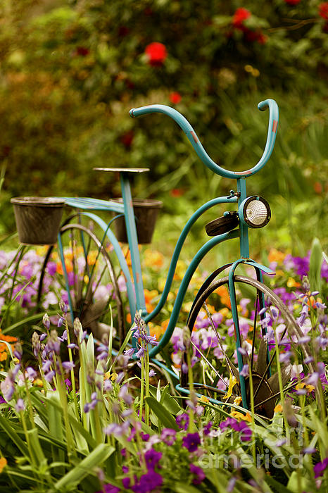 Rachel Morrison - Garden Bicycle II