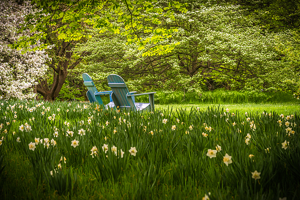 Garden Art