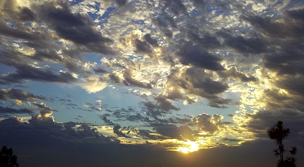 Nature Photographs