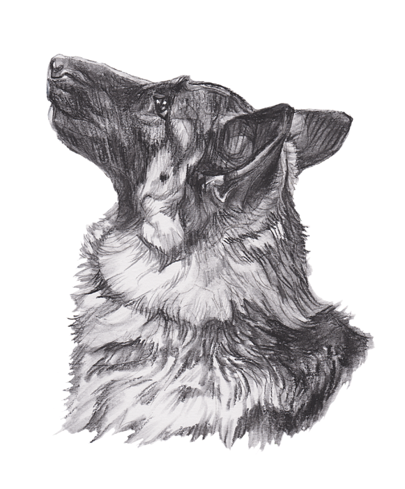 German Shepherd profile drawing Long Sleeve T-Shirt for Sale by I Am ...