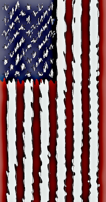 for iPhone 14 Pro Max Case American Flag Designer Pattern Cover