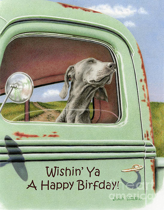 happy birthday weimaraner