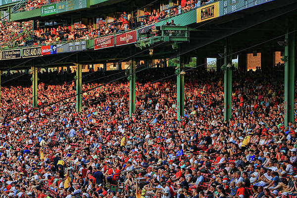 The View From Behind Home Plate - Fenway Park by Allen Beatty