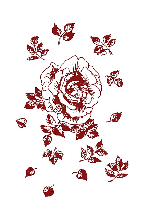 Graphic Red Rose With Leaves Drawing