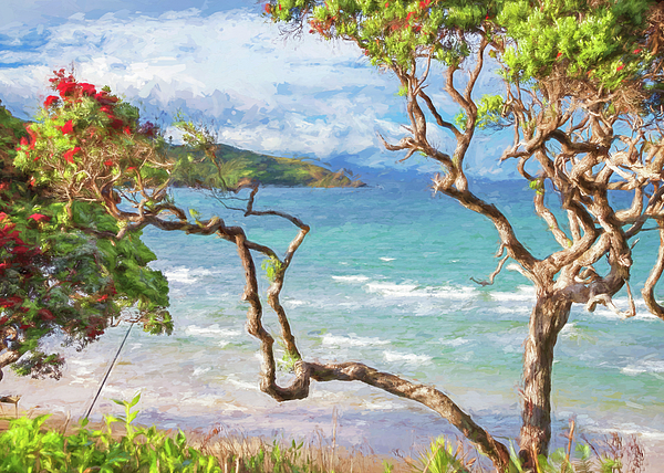 Joan Carroll - Great Barrier Island New Zealand View Painterly