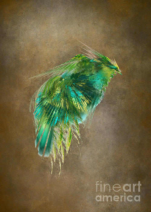 Green Bird - Fractal Art Digital Art