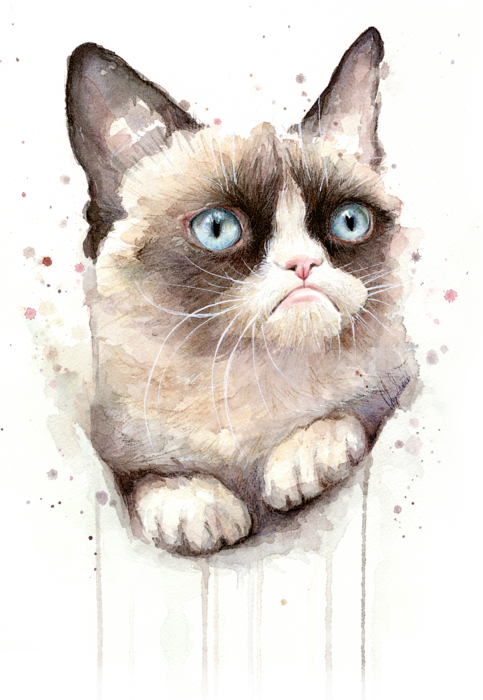 Grumpy Cat Watercolor Tank Top for Sale by Olga Shvartsur