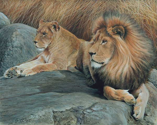 Nature Paintings