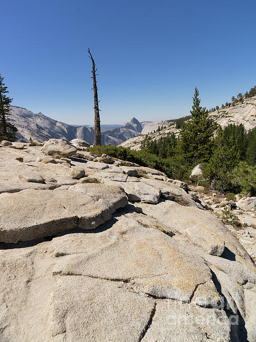 https://images.fineartamerica.com/images/artworkimages/medium/1/half-dome-and-yosemite-valley-from-olmsted-point-tioga-pass-yosemite-california-dsc04242-wingsdomain-art-and-photography.jpg