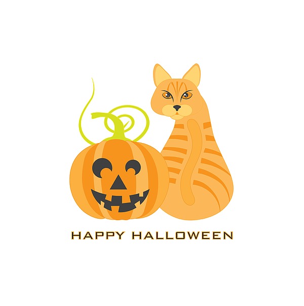 Halloween Orange Tabby Cat Pumpkin Illustration Digital Art