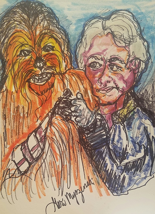 https://images.fineartamerica.com/images/artworkimages/medium/1/han-solo-and-chewbacca-geraldine-myszenski.jpg